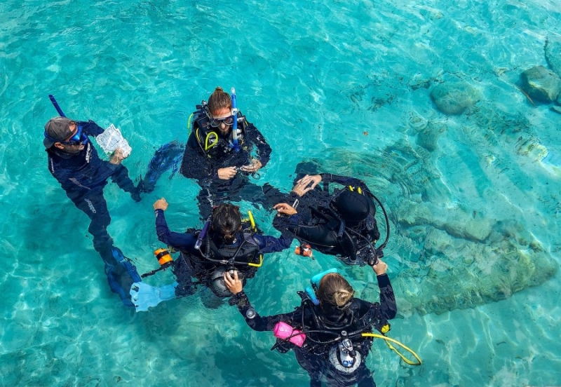 PADI Instructor Development Course Cozumel